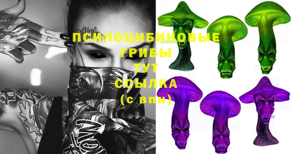 трава Краснослободск