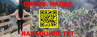 тгк Донской