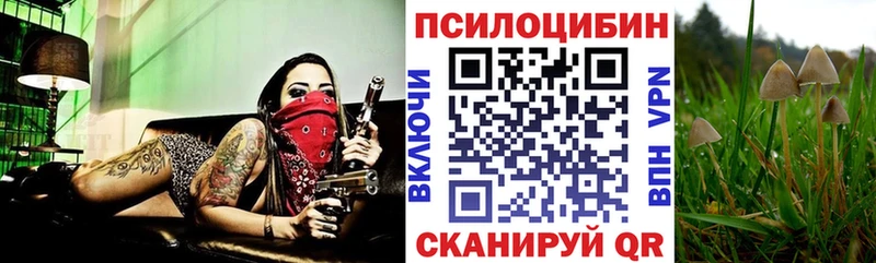 Псилоцибиновые грибы ЛСД где продают наркотики Черняховск