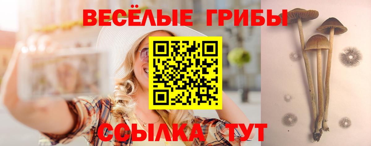 Черняховск  Псилоцибиновые грибы мицелий  Галлюциногенные грибы Cubensis  Вход с VPN 