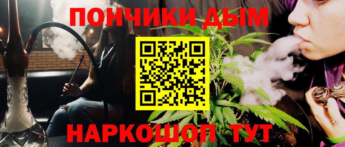 Конопля сатива  Марихуана планчик  Черняховск 